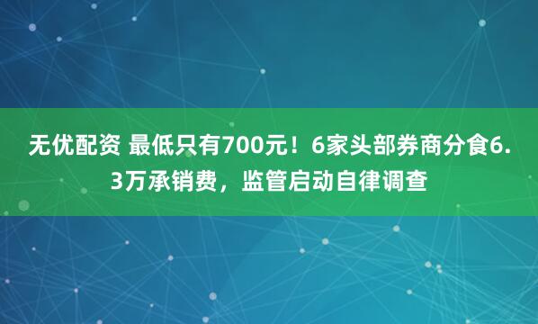 无优配资 最低只有700元！6家头部券商分食6.3万承销费，监管启动自律调查